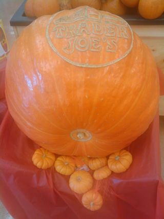 2009-10-16 09.55.jpg